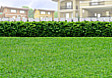 Lot for Sale in Dumaguete, Negros Oriental (Near Airport)